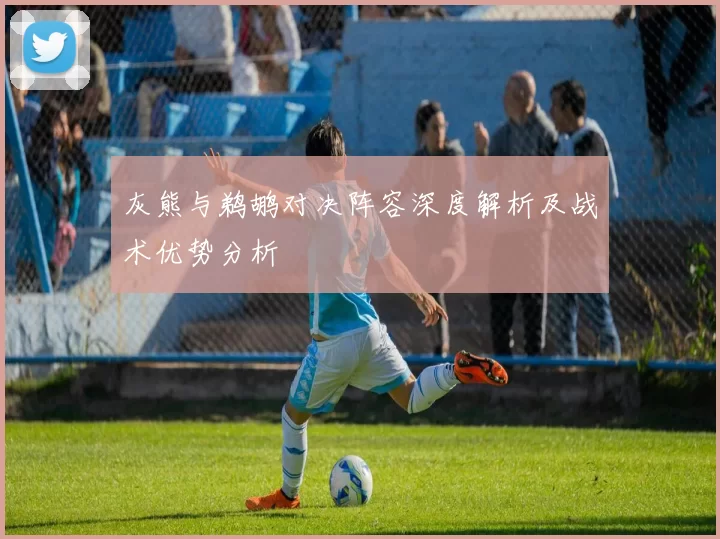 灰熊与鹈鹕对决阵容深度解析及战术优势分析