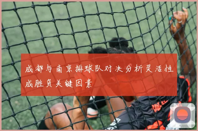 成都与南京排球队对决分析灵活性成胜负关键因素