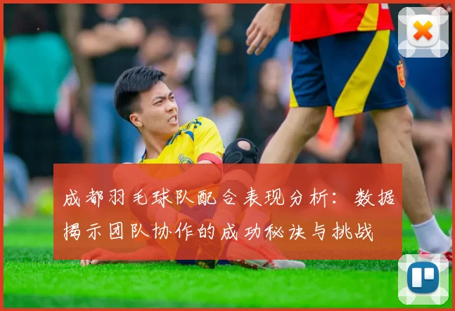 成都羽毛球队配合表现分析：数据揭示团队协作的成功秘诀与挑战