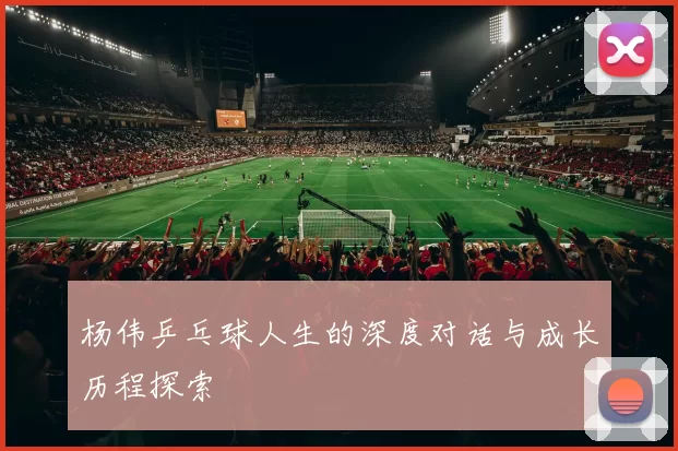杨伟乒乓球人生的深度对话与成长历程探索