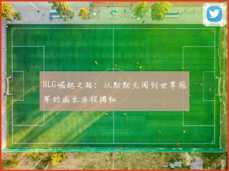BLG崛起之路：从默默无闻到世界冠军的成长历程揭秘