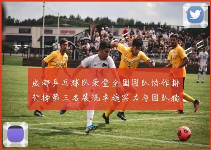 成都乒乓球队荣登全国团队协作排行榜第三名展现卓越实力与团队精神