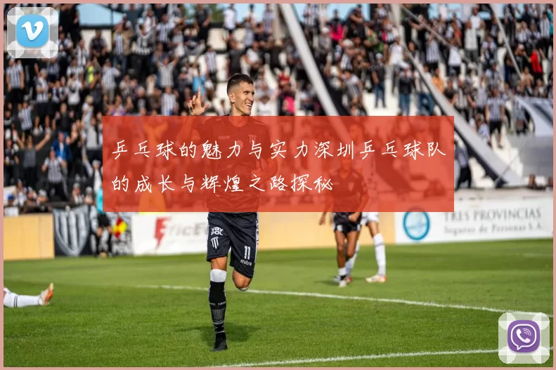 乒乓球的魅力与实力深圳乒乓球队的成长与辉煌之路探秘
