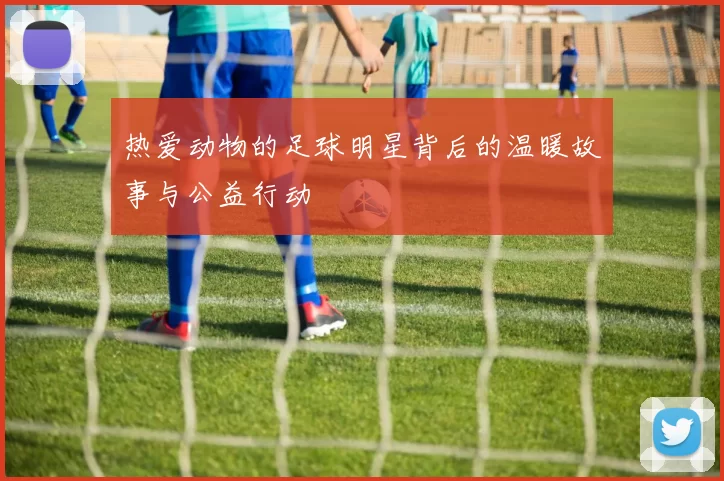 热爱动物的足球明星背后的温暖故事与公益行动