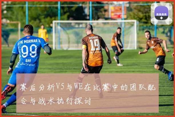 赛后分析V5与WE在比赛中的团队配合与战术执行探讨