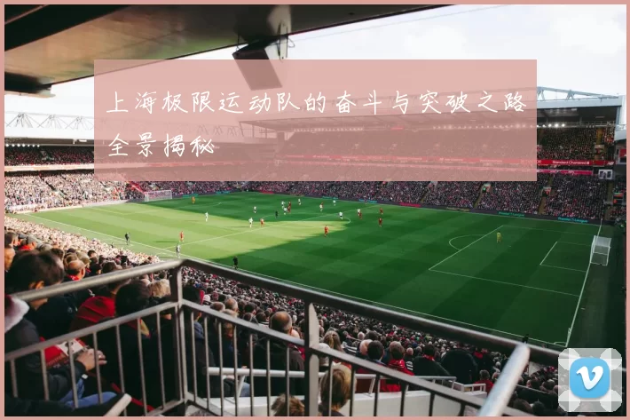 上海极限运动队的奋斗与突破之路全景揭秘