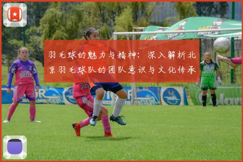 羽毛球的魅力与精神：深入解析北京羽毛球队的团队意识与文化传承