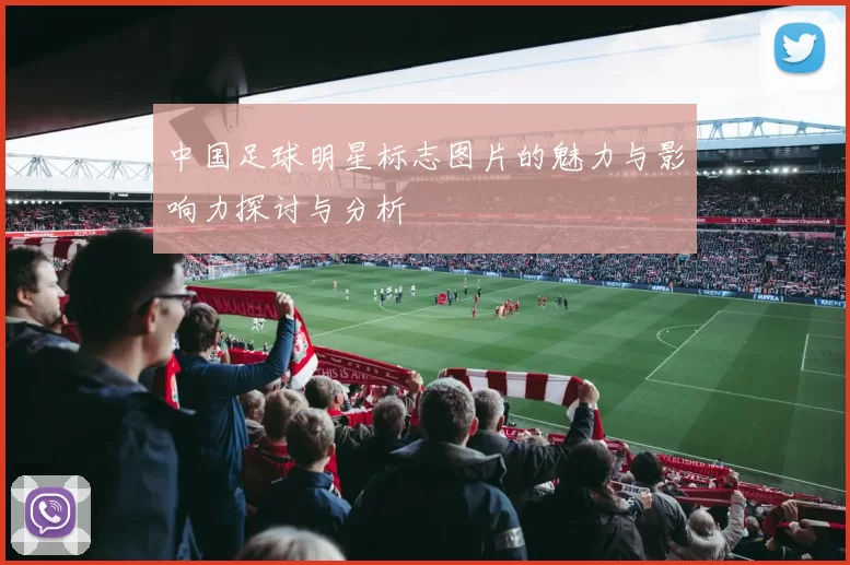 中国足球明星标志图片的魅力与影响力探讨与分析