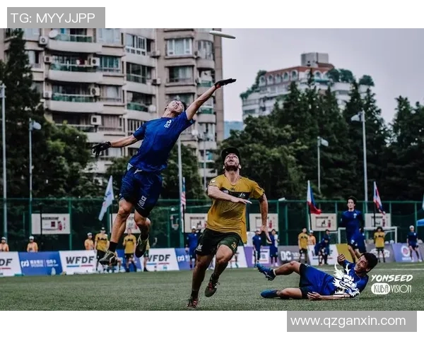 南京飞盘队团队协作的深度探讨与实践经验分享