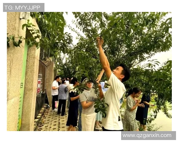 果园采摘乐趣体验，感受丰收季节的自然魅力与美好时光